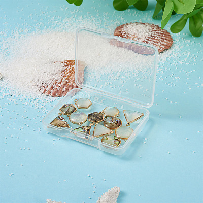 12Pcs 6 Styles Natural Shell Pendant Sets SHEL-CD0001-03-1