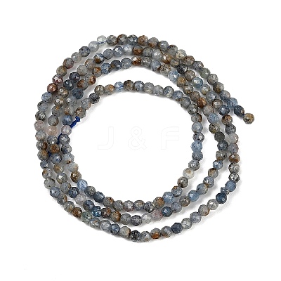 Natural Kyanite Beads Strands G-RM2025-A34-2mm-1