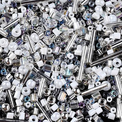 FGB Glass Seed Beads SEED-S056-001-1