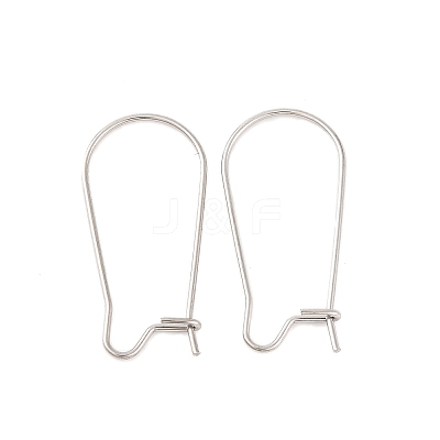 Non-Tarnish 316 Surgical Stainless Steel Hoop Earrings Findings Kidney Ear Wires X-STAS-E009-5-1