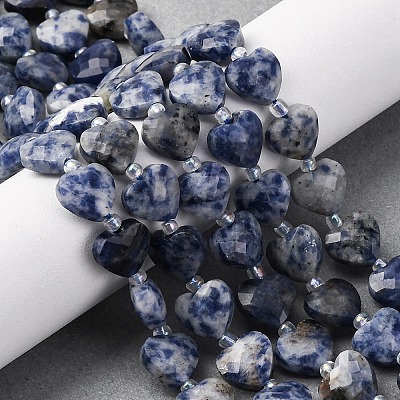 Natural Blue Spot Jasper Beads Strands G-P570-E19-01-1