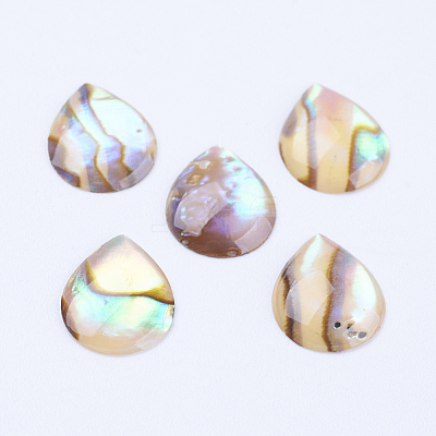 Natural Paua Shell Cabochons SSHEL-F301-26-1