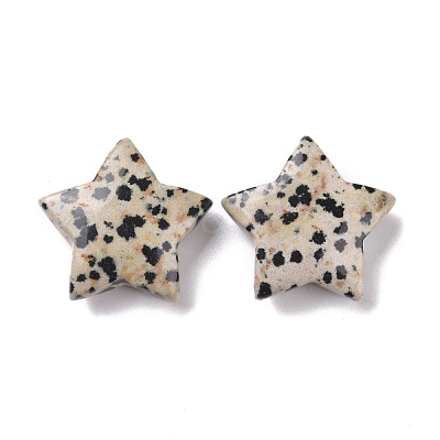 Natural Dalmatian Jasper Beads G-P469-12A-04-1