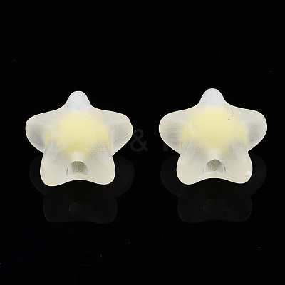 Transparent Acrylic Beads TACR-N011-001A-02-1