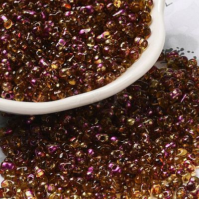 Spray Painted Glass Seed Beads SEED-F005-03A-03-1