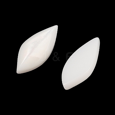 Opaque Resin Decoden Cabochons CRES-I036-14A-1