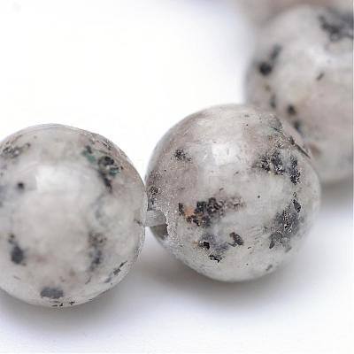 Natural Sesame Jasper/Kiwi Jasper Bead Strands G-R345-8mm-11-1