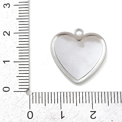 304 Stainless Steel Pendants STAS-C154-05A-GP-1