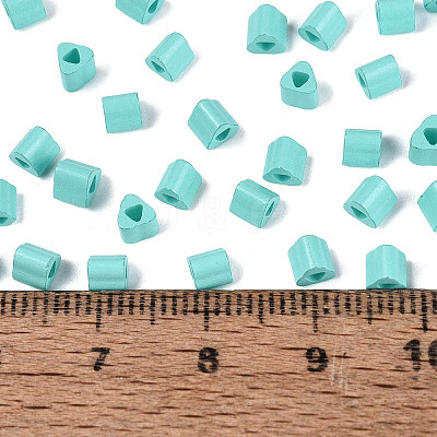 FGB Baking Paint Glass Seed Beads SEED-Q040-09A-13-1