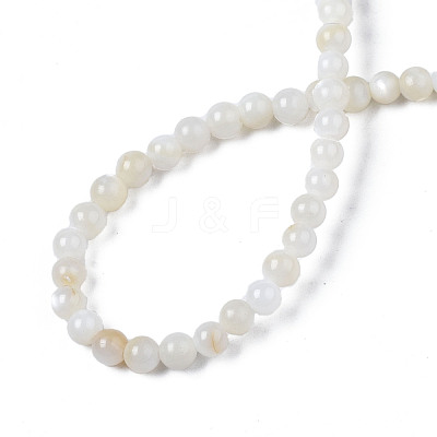 Natural Freshwater Shell Beads Strands BSHE-T009A-01A-1