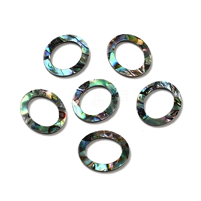 Natural Abalone Shell/Paua Shell Cabochons SHEL-K006-13B-1