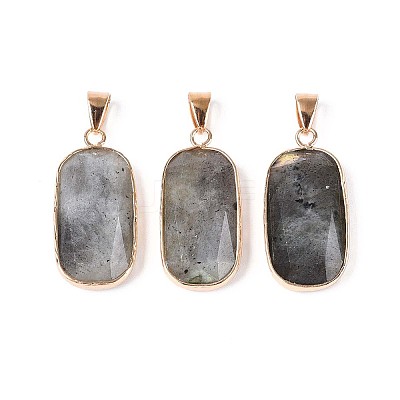 Natural Labradorite Pendants G-N349-03C-G-1
