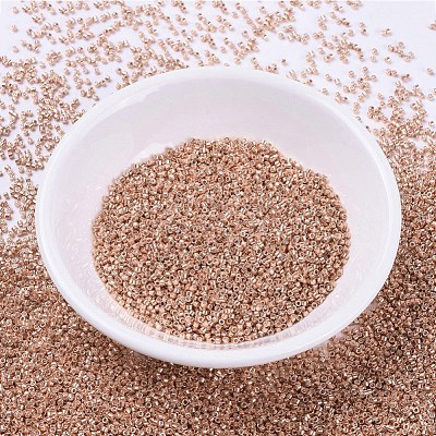 MIYUKI Delica Beads X-SEED-J020-DB0434-1