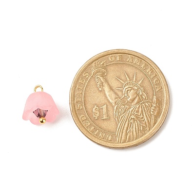 Transparent Acrylic Charms PALLOY-JF01603-02-1