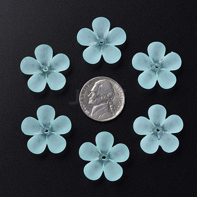 Transparent Acrylic Beads MACR-S373-116-D07-1