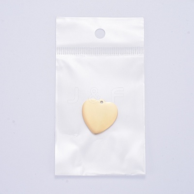 304 Stainless Steel Pendants STAS-I140-10A-G-1