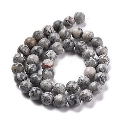 Natural Map Stone/Picasso Stone/Picasso Jasper Round Beads Strands G-E329-8mm-47-1