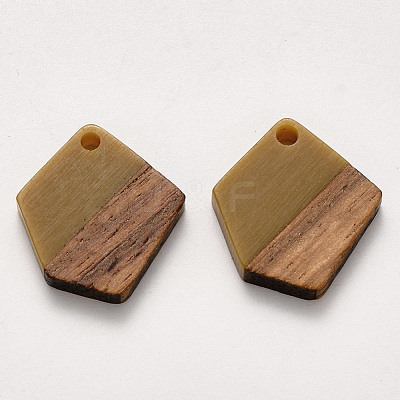 Resin & Walnut Wood Pendants X-RESI-S384-003A-A02-1