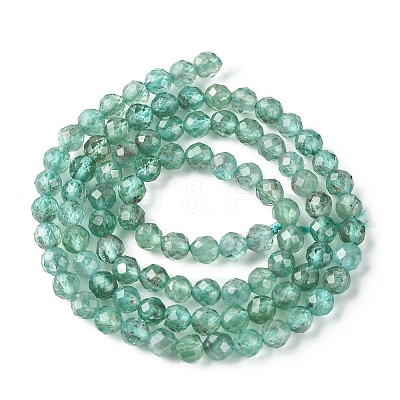 Natural Apatite Beads Strands G-F748-J01-02-1