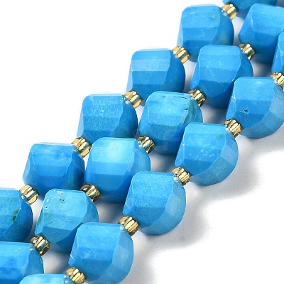 Dyed Natural Howlite Beads Strands G-G023-B01-01A-1