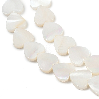 Natural Freshwater Shell Beads Strands SHEL-K010-04-1