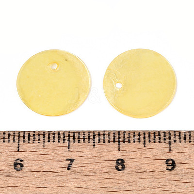 Spray Painted Natural Capiz Shell Disc Charms X1-BSHE-T014-02G-1