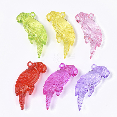 Transparent Acrylic Big Pendants TACR-S133-098-1
