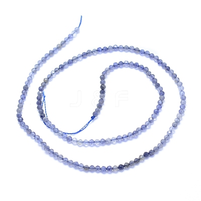 Natural Iolite Beads Strands G-I279-E08-1