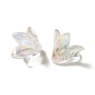 Transparent Acrylic Bead Caps LS-X-OACR-H016-05A-1