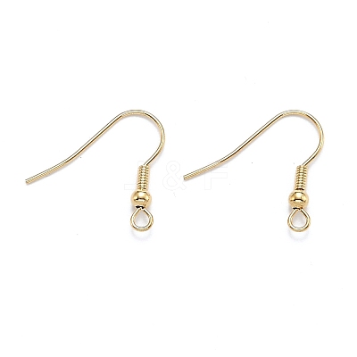 304 Stainless Steel Earring Hooks STAS-D448-036G-1