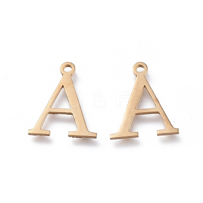 304 Stainless Steel Charms STAS-K215-19G-1