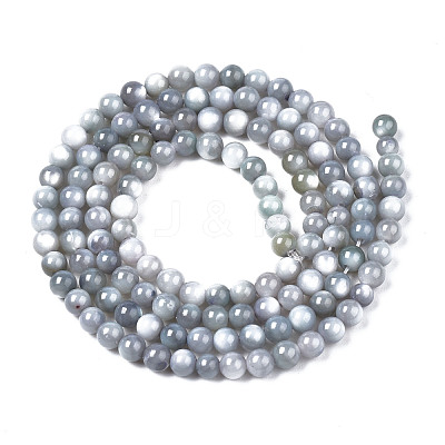 Natural Freshwater Shell Beads Strands BSHE-T009A-01K-1