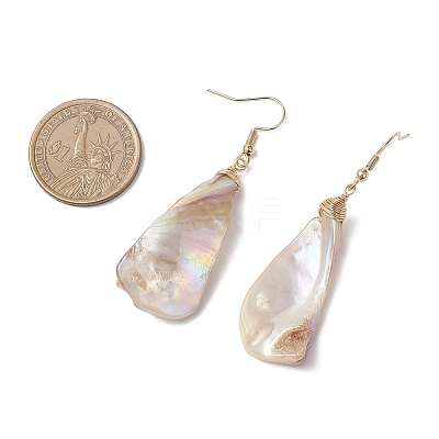304 Stainless Steel Nuggets Dangle Earrings EJEW-JE06687-1