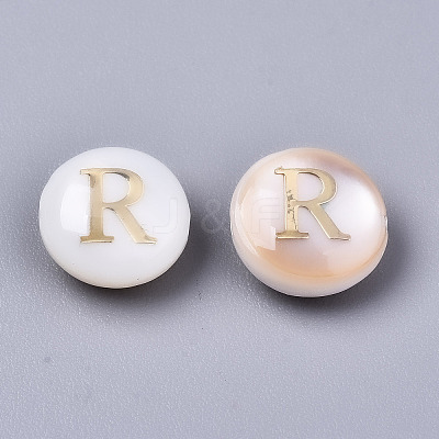 Natural Freshwater Shell Beads SHEL-S266-12R-1