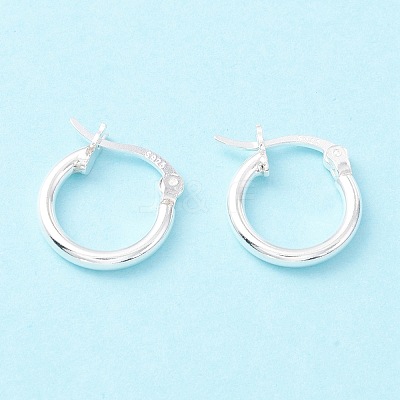 925 Sterling Silver Hoop Earrings STER-P047-13A-S-1