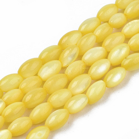 Natural Freshwater Shell Beads Strands SHEL-N003-25-B05-1