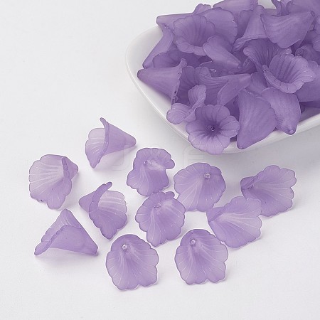 Transparent Acrylic Bead Caps LS-X-PL551-C08-1