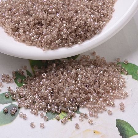 MIYUKI Delica Beads SEED-J020-DB0069-1