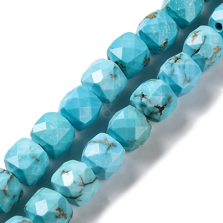 Natural Howlite Beads Strands G-G001-B02-05-1