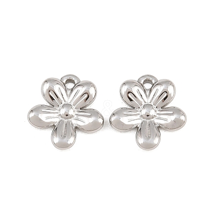 304 Stainless Steel Charms SA-CBA3ECF-06P-1