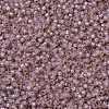 MIYUKI Round Rocailles Beads SEED-X0054-RR0579-3