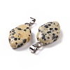 Natural Dalmatian Jasper Pendants G-B041-03P-08-3