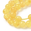 Natural Amber Beads Strands G-L095-B01-6mm-01-4