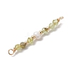 12Pcs 12 Styles Faceted Round Natural Mixed Stone Beaded Connector Charms PALLOY-JF03557-5