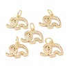 Brass Micro Pave Clear Cubic Zirconia Charms ZIRC-B010-34-2