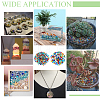 400G Handmade Lampwork Beads LAMP-GA0001-21-5