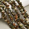 Natural Rhyolite Jasper Beads Strands GG-CBAC13F-B01-01-1