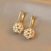 Alloy Rhinestone Hoop Earrings FS-WG20219-01-3