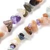 Natural & Synthetic Gemstone Chip Bead Strands G-M205-21-2