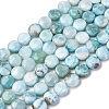 Natural Larimar Beads Strands G-F675-08-5